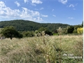 Image du bien UBI439071326